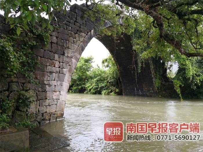 阳朔干部群众合力勇救溺水儿童,桂林阳朔女孩溺亡