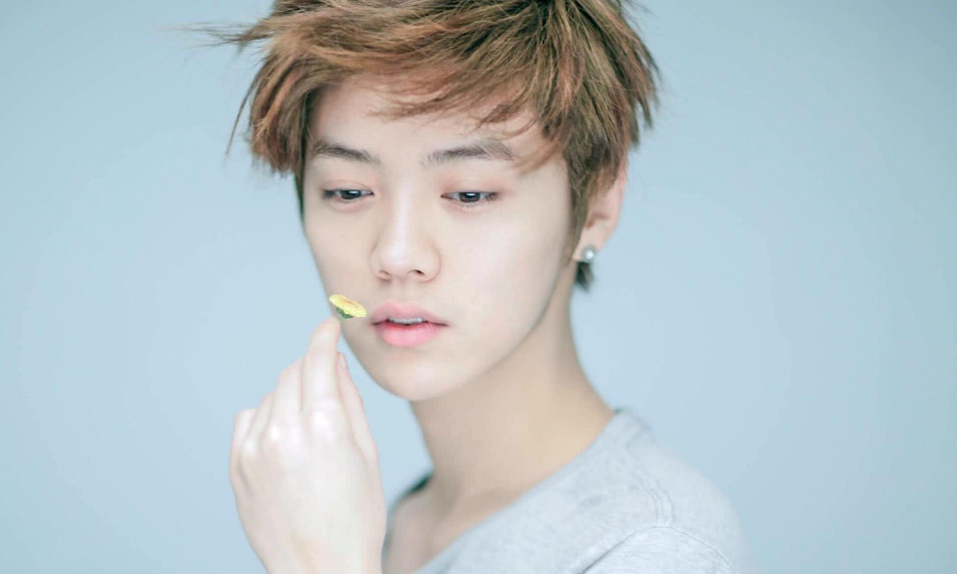 鹿晗捐赠足球场,鹿晗捐赠足球场在哪里