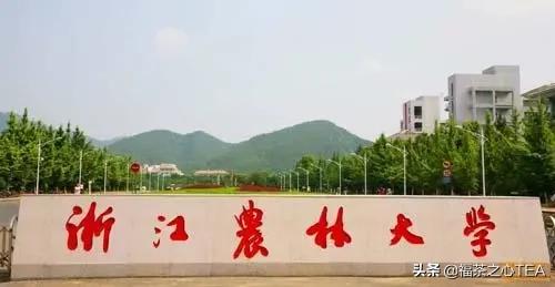 湖南农业大学茶学专业怎么样,广西有哪些高校开设茶学