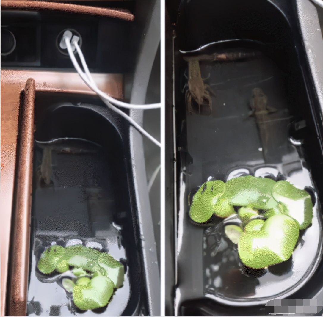 电池放在路由器信号能增强吗,路由器上绑电池真的会加强信号