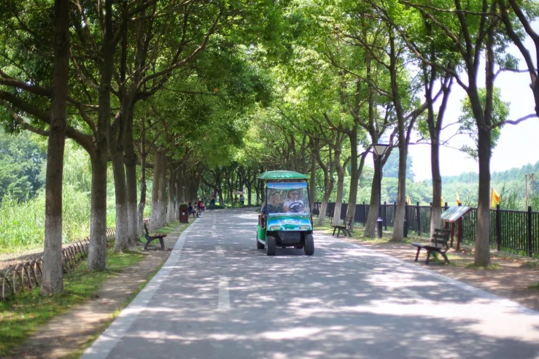沙家浜旅游民宿有哪些,三月最适合去的最美民宿