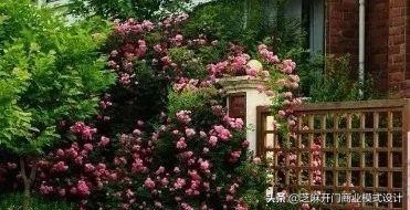 励志做个合格企业家树立人生目标,如何成为一个有担当的企业家