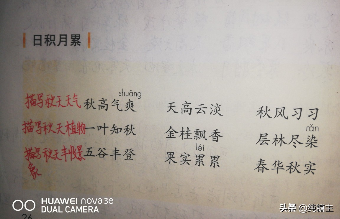 三年级下册第一单元语文园地笔记,部编三年级语文上册第二单元笔记
