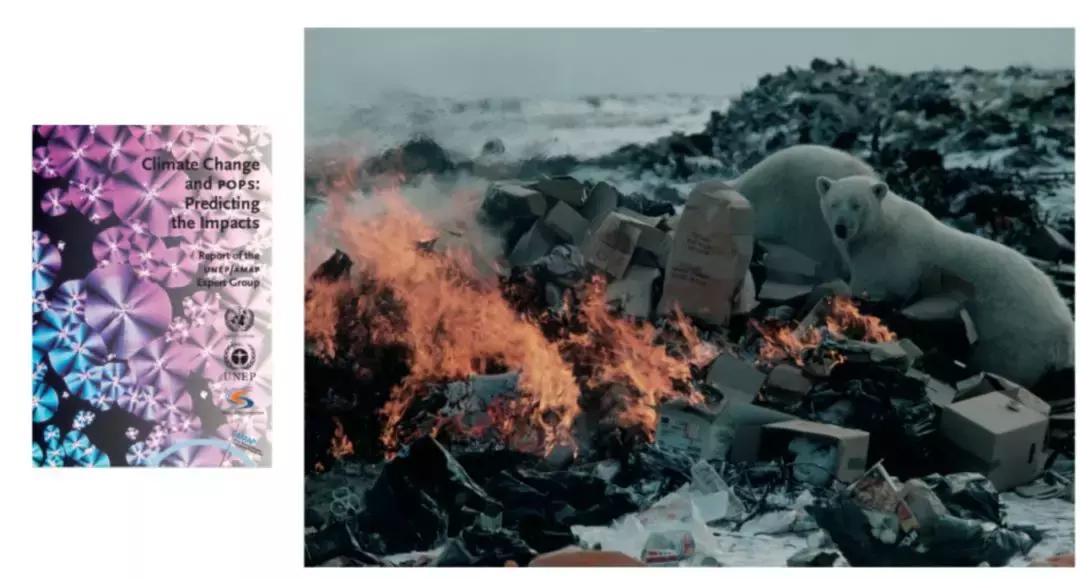 这个沙龙，错过了现场还能错过现场回忆？