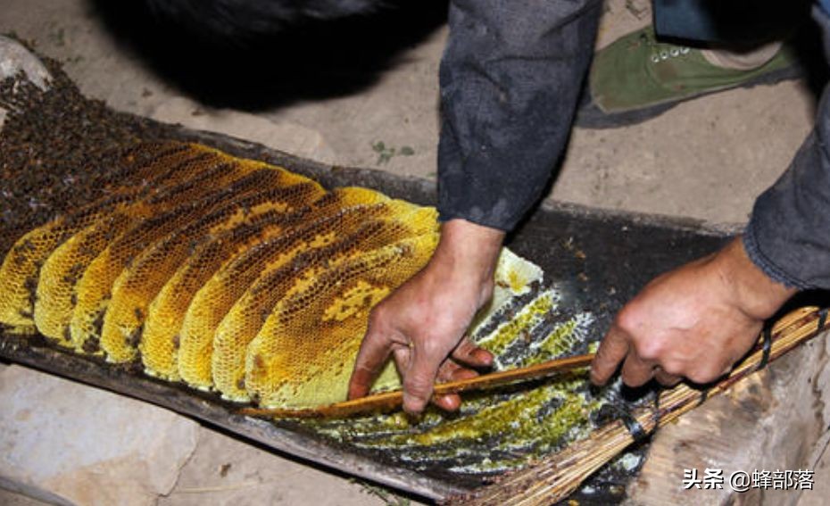 李时珍说蜂蜜,李时珍记载蜂蜜