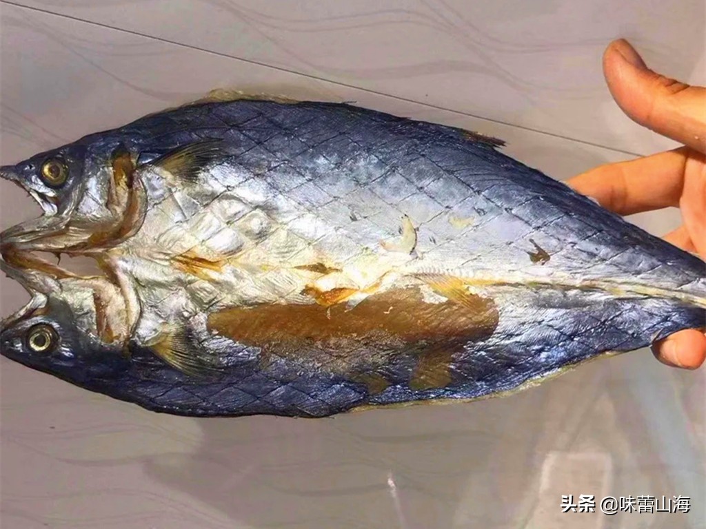 胶东晒鲅鱼干,正宗咸鲅鱼干晒制方法