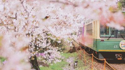 鑻忓窞鐪嬫ū鑺辩殑閰掑簵,鑻忓窞鐪嬫ū鑺变綇鍝釜閰掑簵