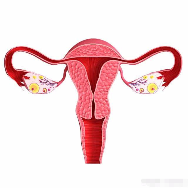 备孕提高成功率还是提高宝宝质量,备孕快速怀上宝宝方法