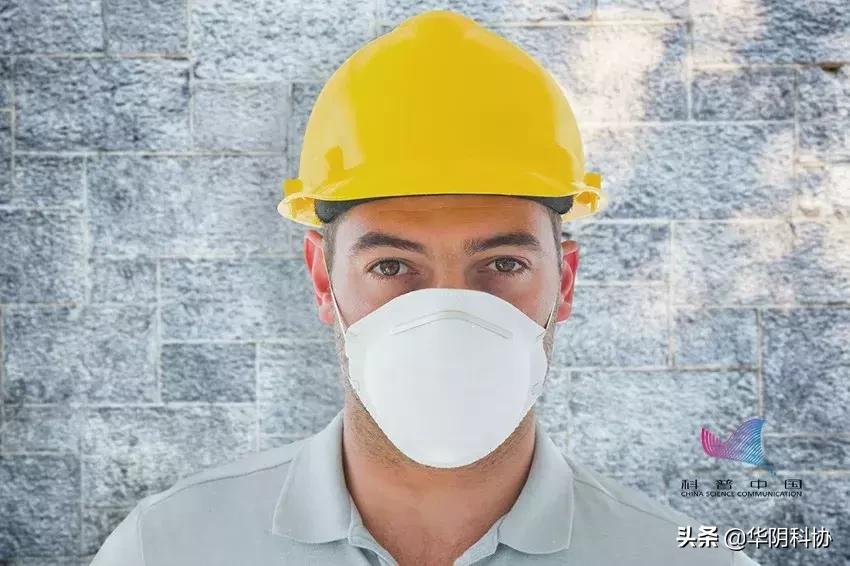 哪些绿植吸甲醛比较好,哪些绿植吸甲醛最厉害呢