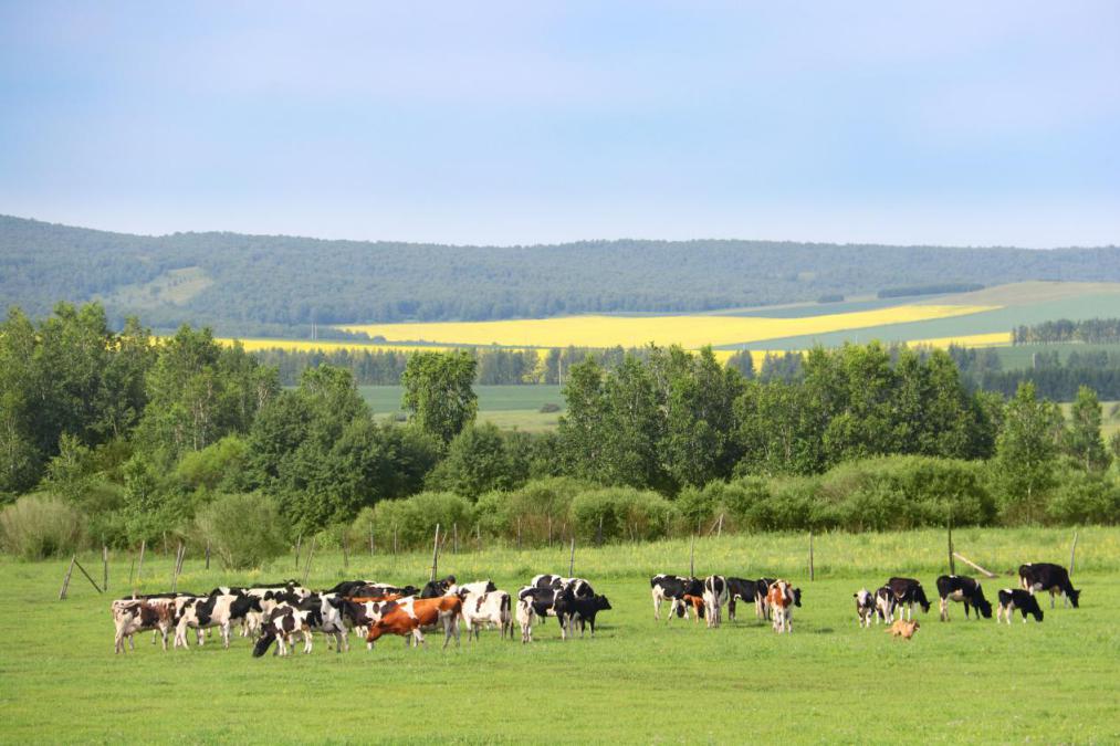 奶粉品牌排行榜看花眼？太子乐专家教你挑奶粉关键看四要素