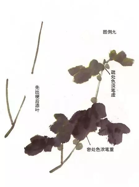 胡玉德菊花国画技法步骤,菊花叶子国画教程