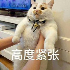 领导不给机会晋升怎么回复,如果领导说给你升职怎么回复