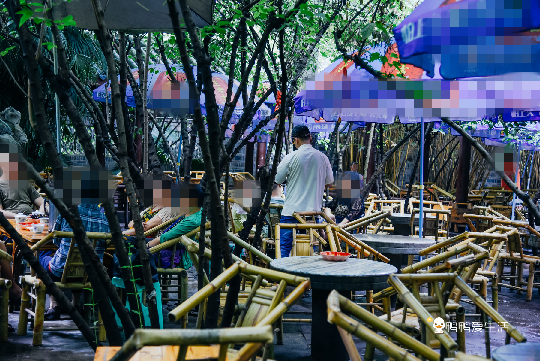 成都人民公园鹤鸣茶舍照片,五一成都人民公园打卡攻略