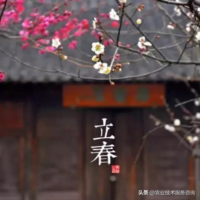 农事节气谚语,农事歌大全