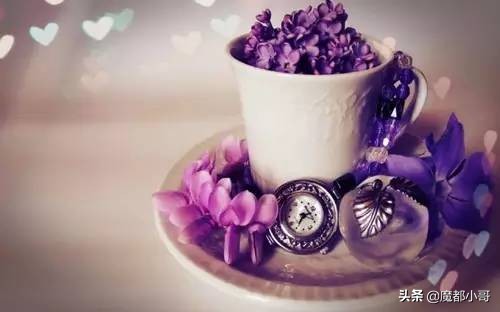 儿童成语大全四字成语接龙,儿童成语大全及典故