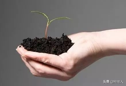 有机肥好处都有啥你真的知道吗,史上最全有机肥知识大全请查收