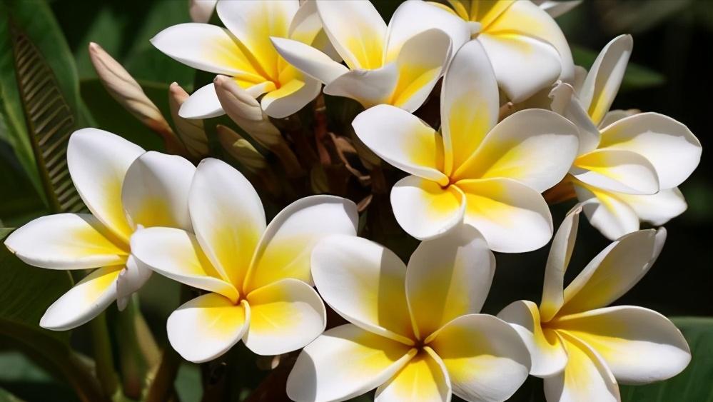 聪明女人在爱情里懂得这些事,在爱情里女人必须要知进退