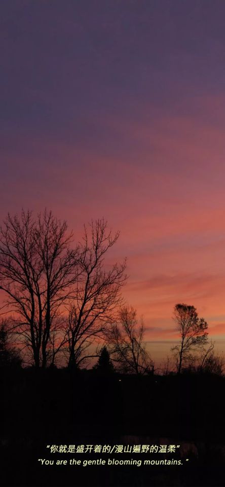 抖音背景图片大全超清无水印,抖音拍摄的视频保存无水印