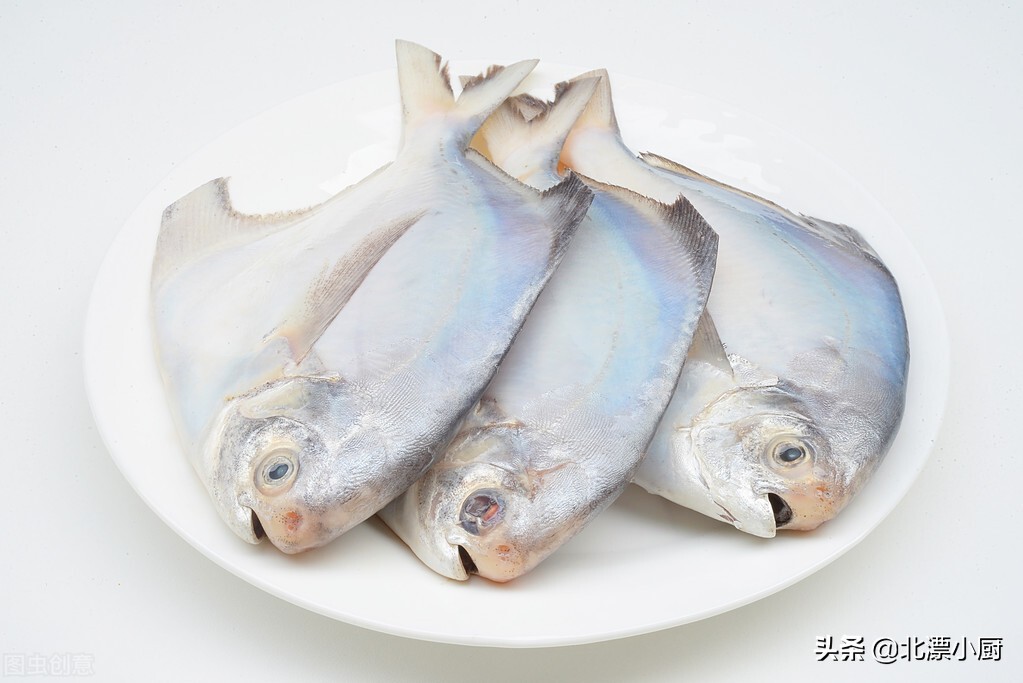 哪些海鱼是纯野生的人工饲养不了,人工养殖海鱼和野生海鱼