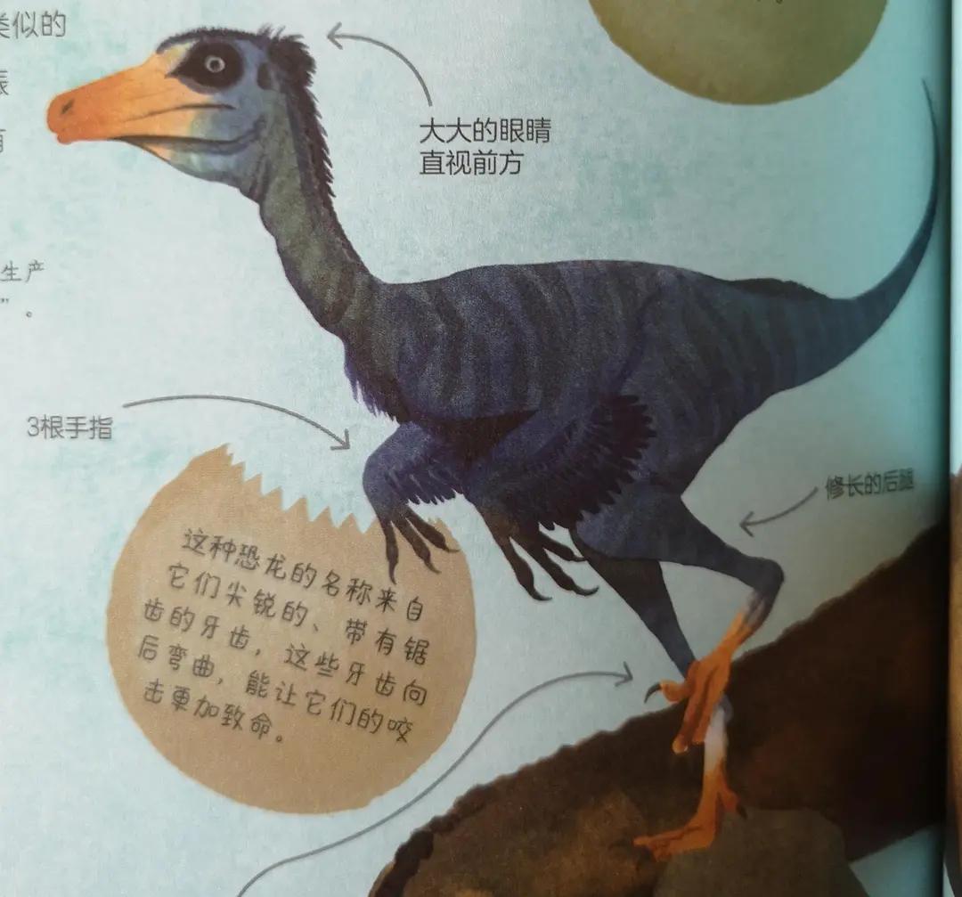 用恐龙模型打造真实的恐龙世界,恐龙时代里面的所有恐龙模型