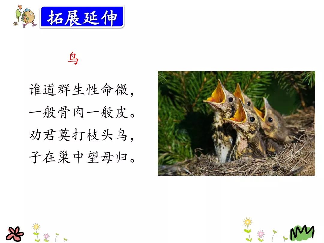 三年级上册26课灰雀的课后词语,三年级26课灰雀生字组词加拼音