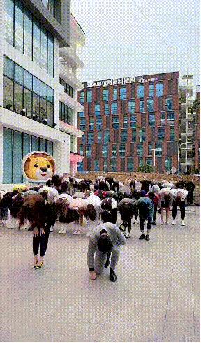 辛巴破20亿销售额感恩粉丝,辛巴破1亿粉出什么事了