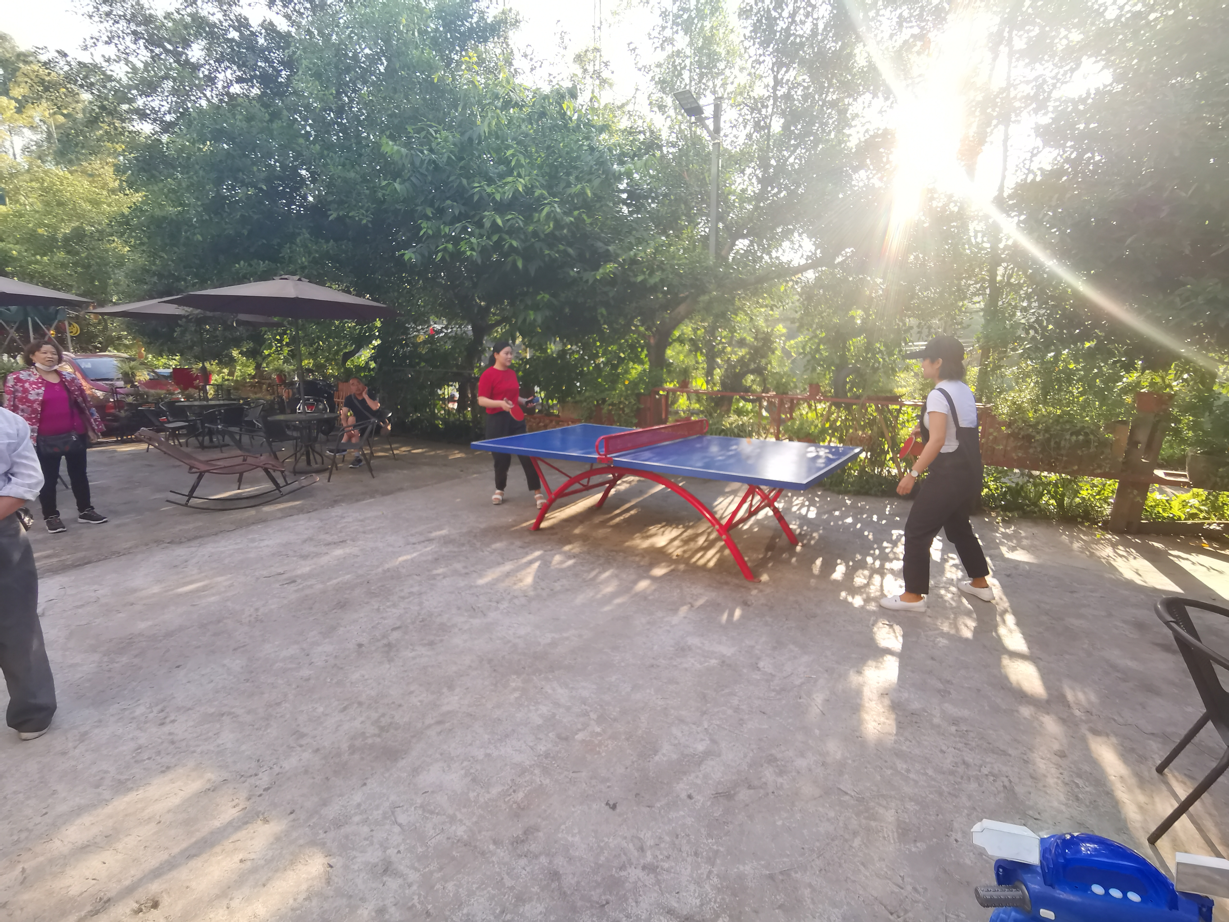 重庆有特点的山中民宿,重庆十大山景民宿排名