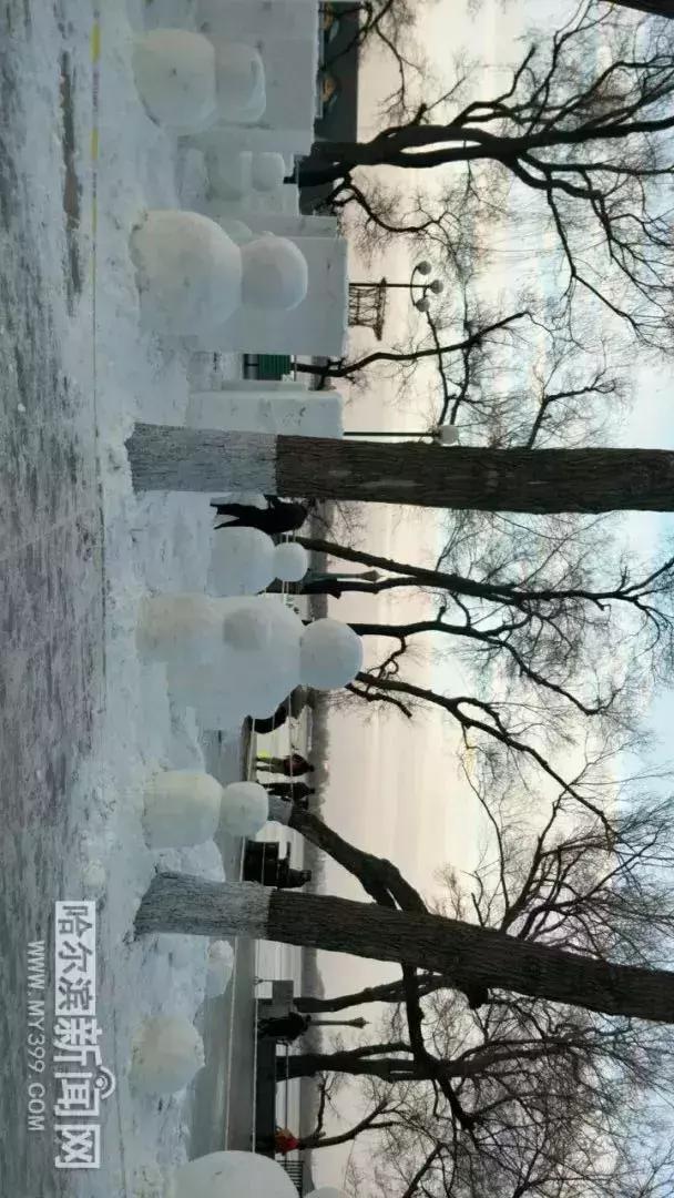 海王来了？！松花江上现奇观｜还要搞个大事情