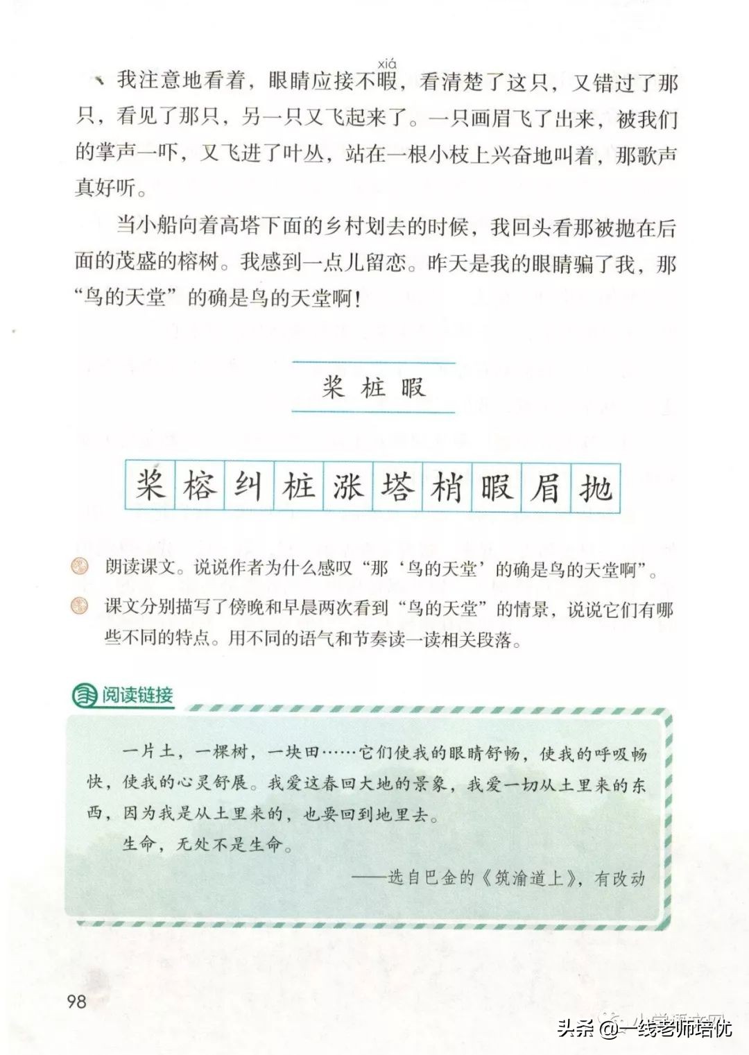 五年级上册语文23课鸟的天堂笔记,部编版五年级上册第23课鸟的天堂