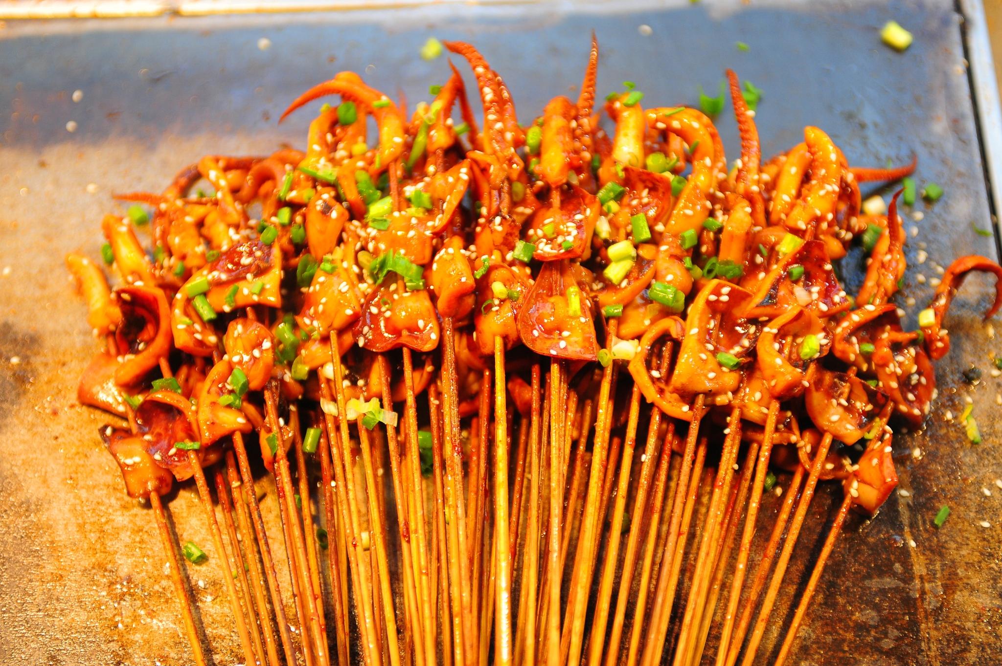 科学家推测章鱼是外星物种,誉为地球上最像外星人的生物章鱼