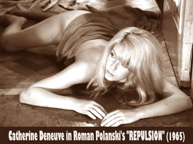 法国十大顶级女神,法国最美的女人超模