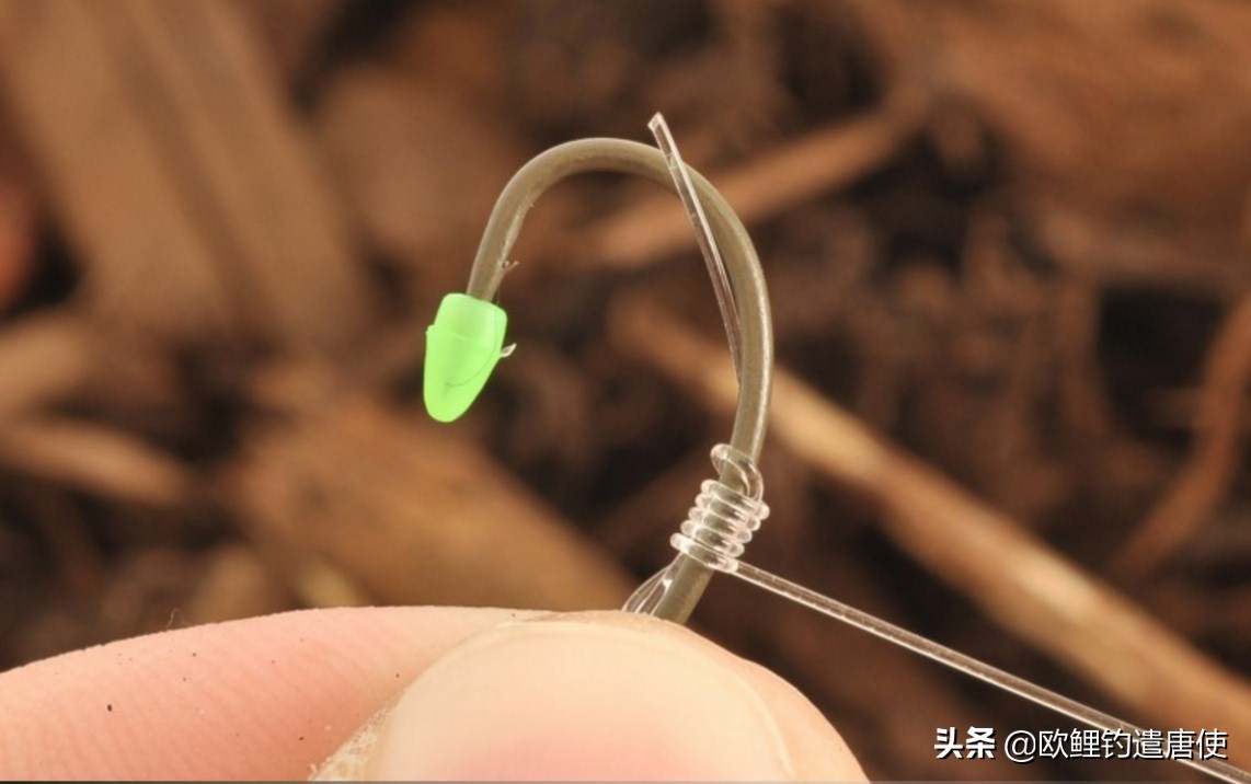 欧鲤钓钓组篇,欧鲤钓组和飞德钓组