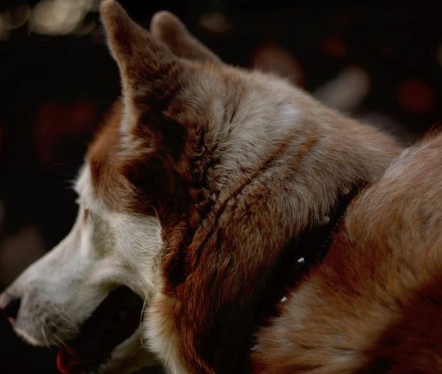 秒客来获客,秒客来拓客营销系统