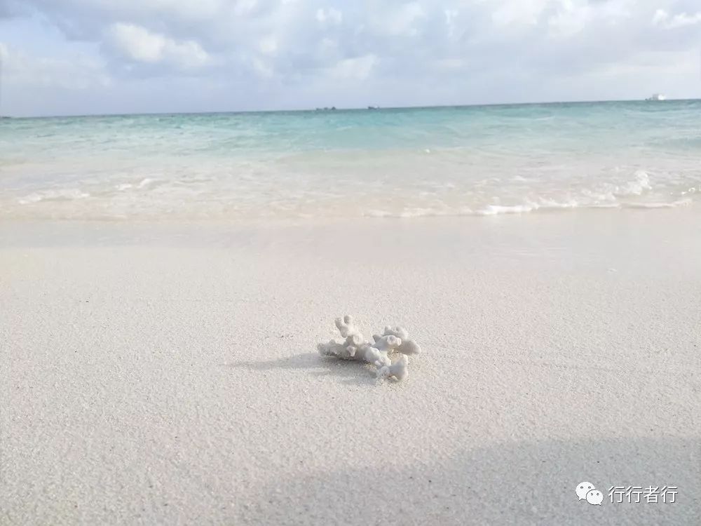 漂洋过海只为遇见你西沙攻略,西沙探秘游记大攻略