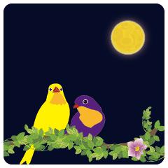 赶走疲惫的一天晚安句子,晚安放下烦恼卸下疲惫睡个好觉