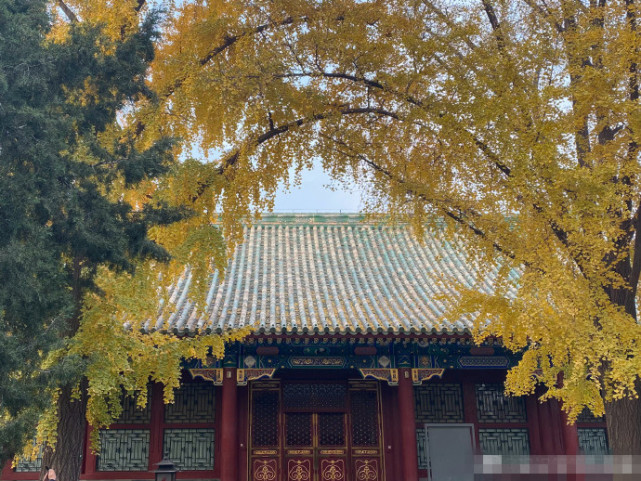 懒理关系户吐槽，孙俪妹妹晒与姐姐同款秀姐妹情，打卡故宫气质赞