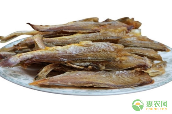 水产干货品种大全,水产干货哪里最好