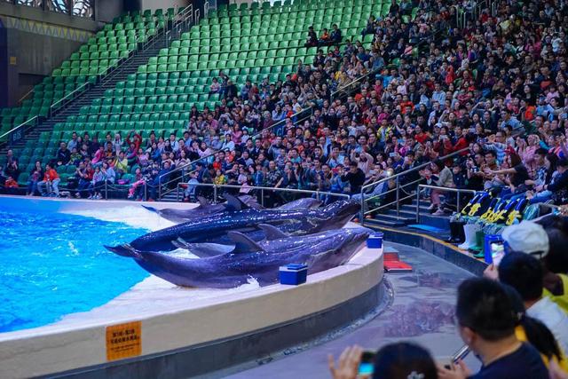 广东长隆乐园,广东珠海长隆乐园介绍