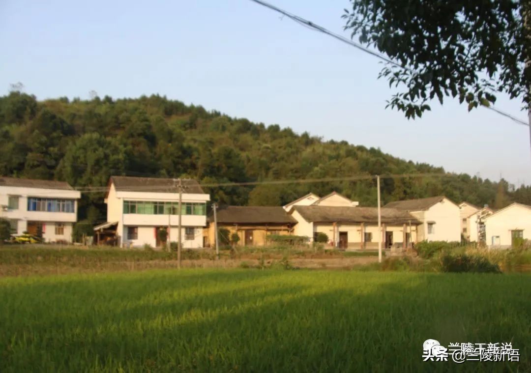 清明追思奶奶图片,清明怀念已故奶奶短句