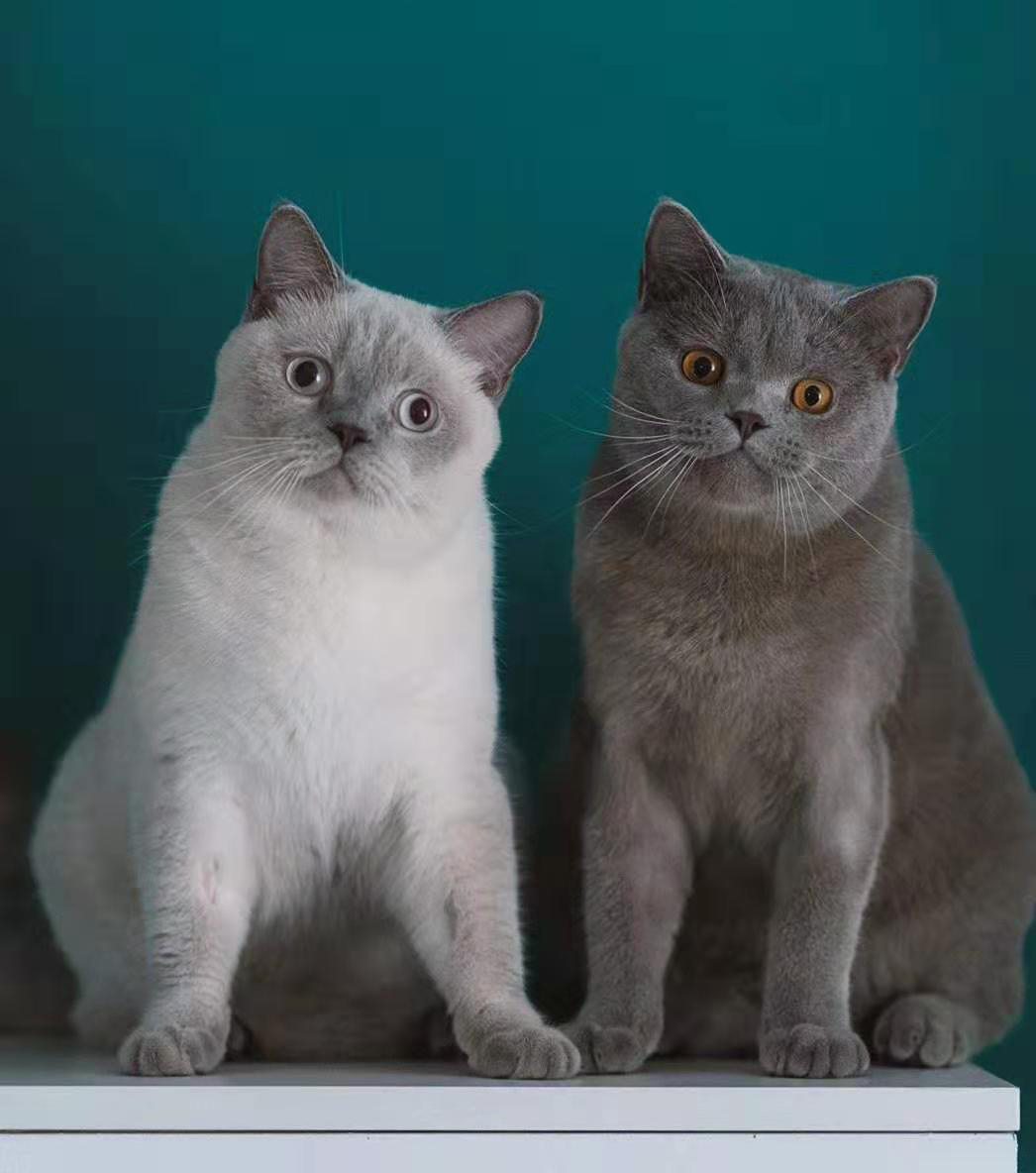 装修建材清单一览表,装修建材了解