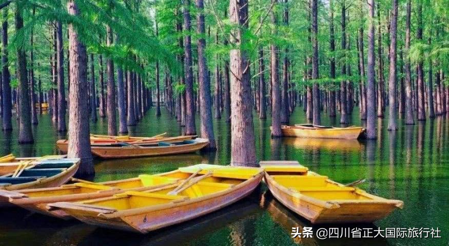 扬州瘦西湖最新旅游消息,扬州瘦西湖最美公园