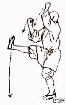 峨眉拳法二十六式慢动作教学,峨嵋派禅拳