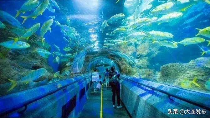 大连景点优惠票多少钱,大连景点半价