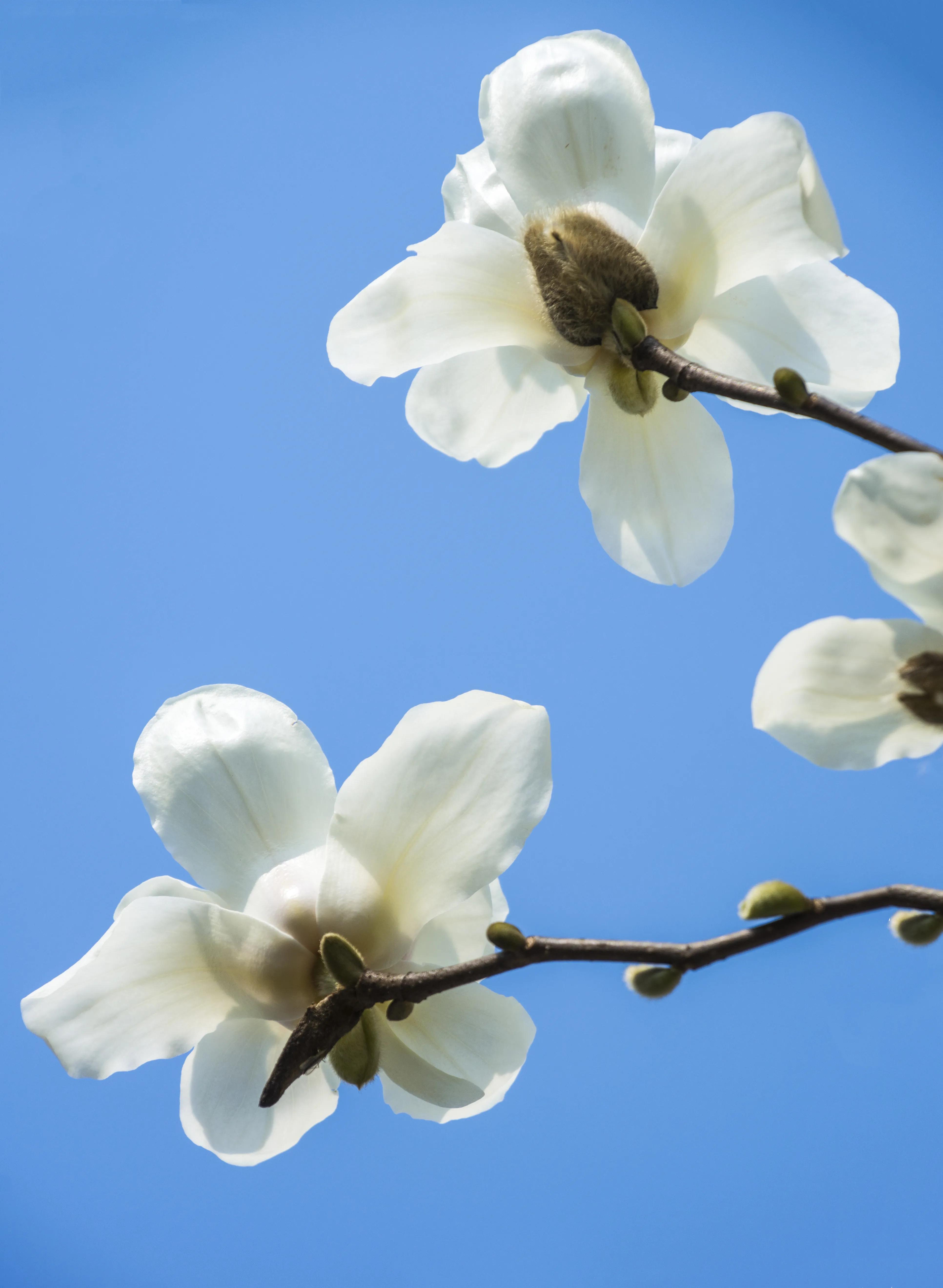 贵州大学8090后的回忆,贵州大学往事