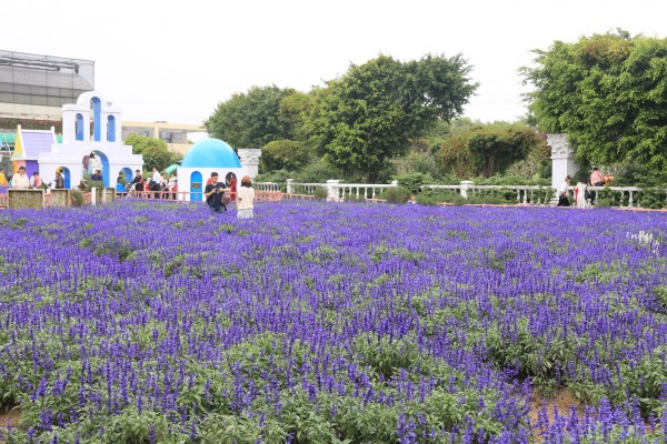 森林花海亲子游攻略,森林公园亲子游推荐