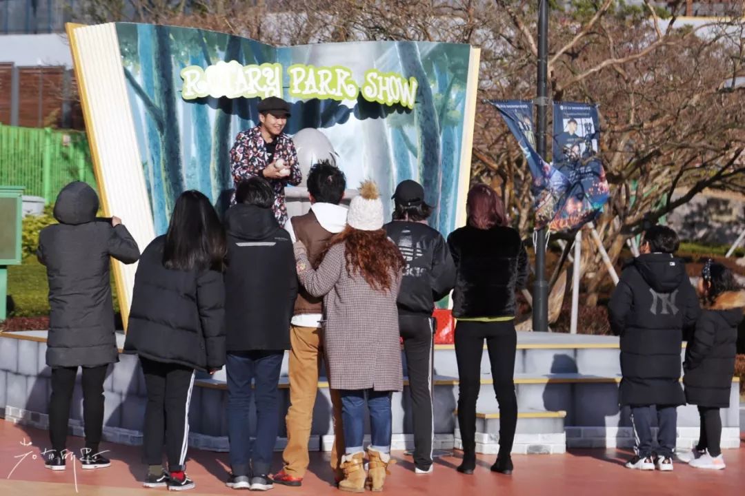 济州岛应该冬天去还是夏天去,冬日济州岛怎么玩