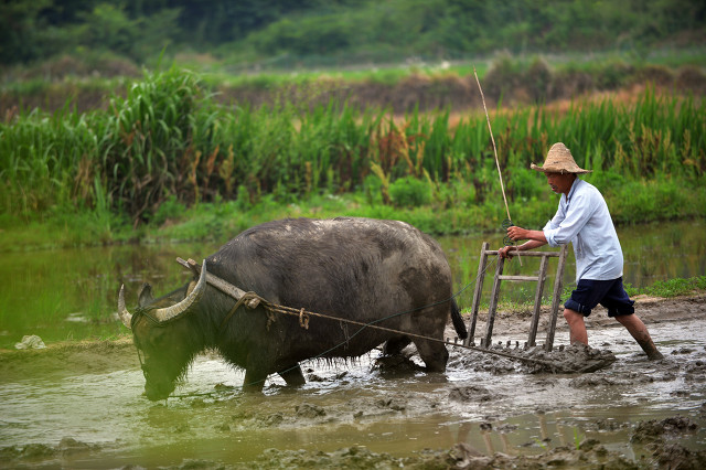 7万亿进入，农村迎7大发展机遇！诞生28类创业新项目，农2代看准