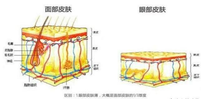 去细纹哪款眼霜值得入手百元内,又方便又好用的一款眼霜