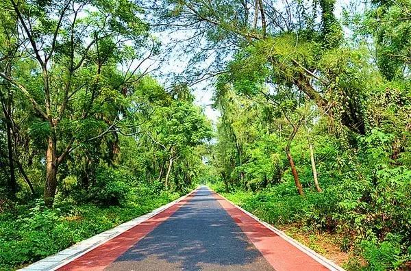 哪里的海岛比鼓浪屿好玩,跟鼓浪屿一样的小岛