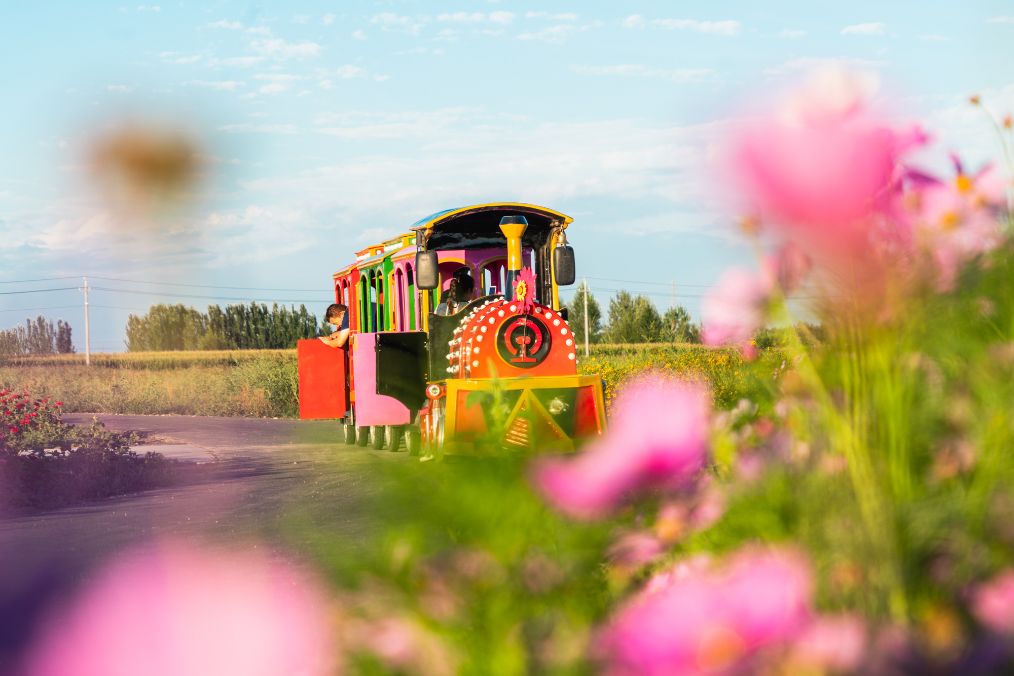 她是滔滔千里黄河的宠儿，阴山之下、河套之上的掌上明珠